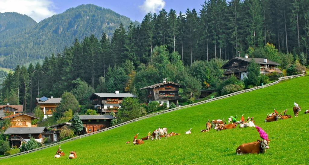 Ferienhaeuser Reither Almen Reith im Alpbachtal Cameră foto